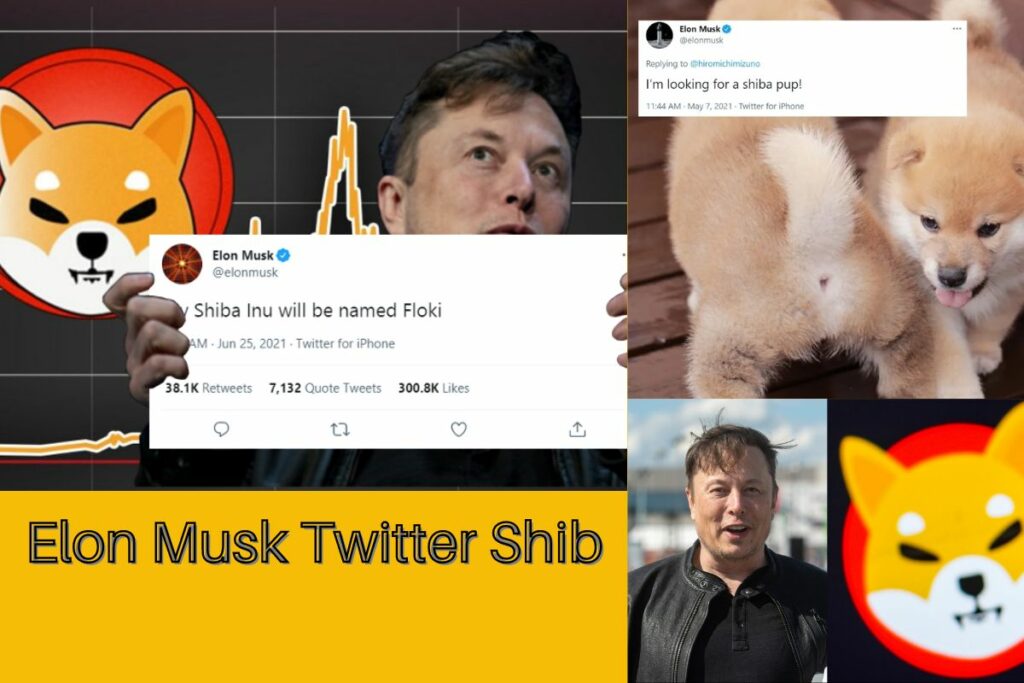 Elon Musk Twitter Shibanu