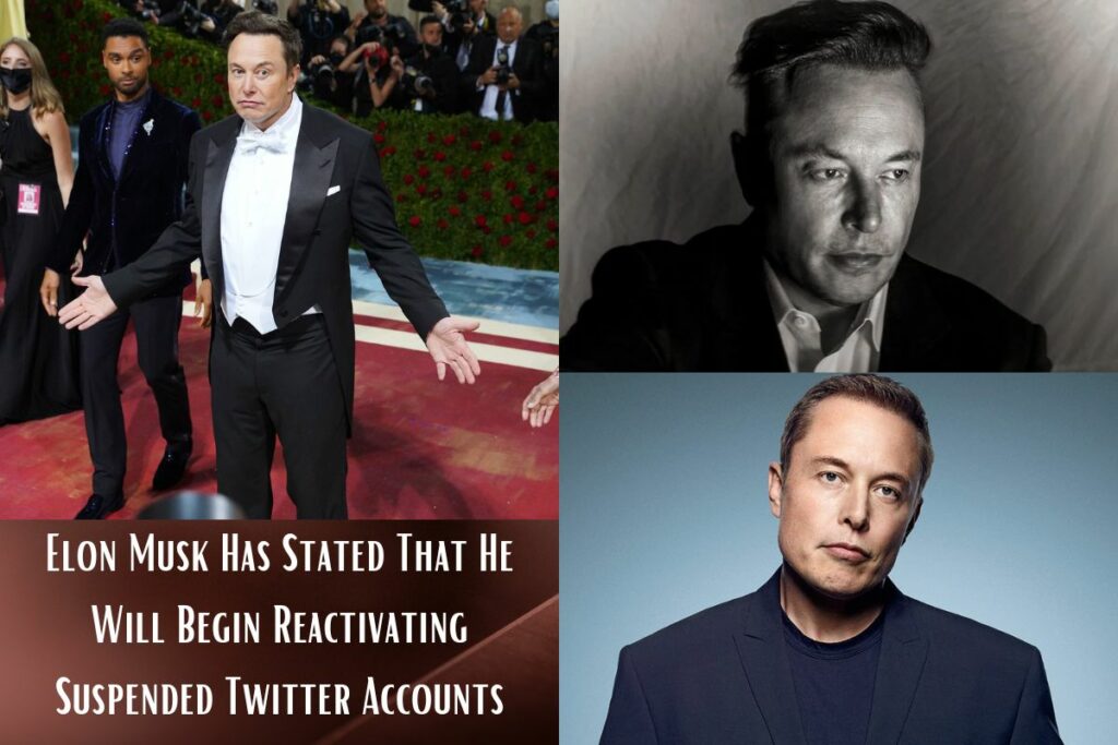 Elon Musk Has Stated That He Will Begin Reactivating Suspended Twitter Accounts