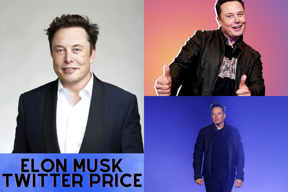 Elon Musk Twitter Price