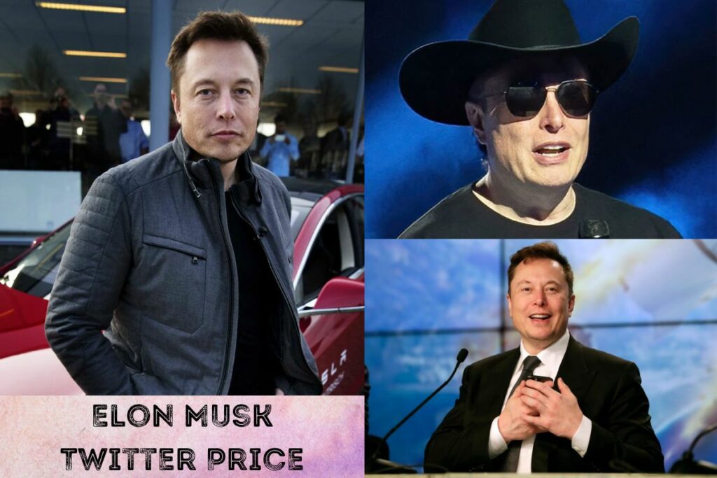 Elon Musk Twitter Price