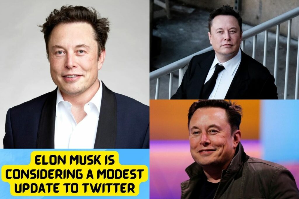 Elon Musk is Considering a Modest Update to Twitter