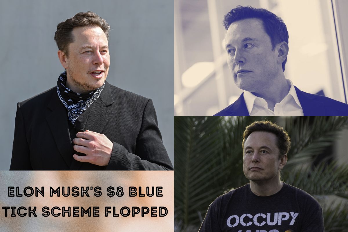 Elon Musk's $8 Blue Tick Scheme Flopped