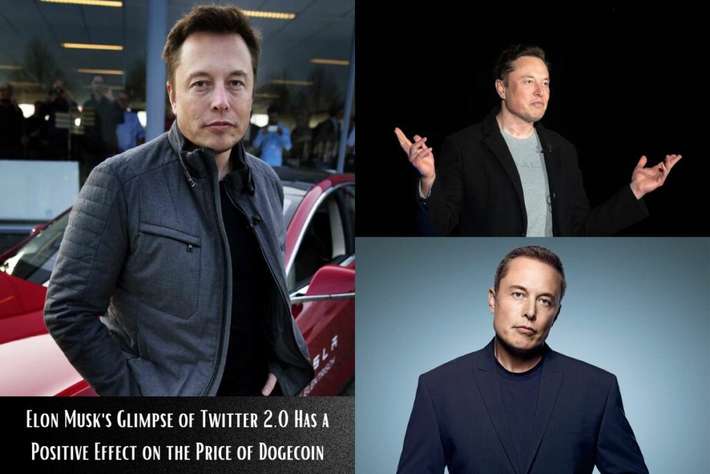 Elon Musk's Glimpse of Twitter 2.0 Has a Positive Effect on the Price of Dogecoin