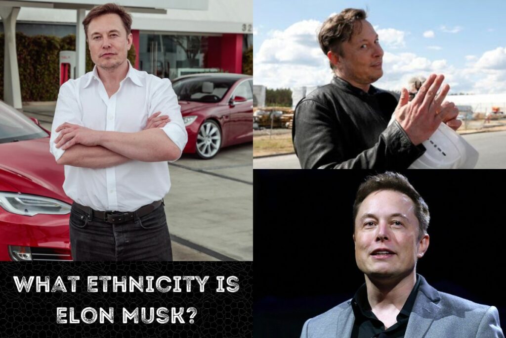 What Ethnicity is Elon Musk
