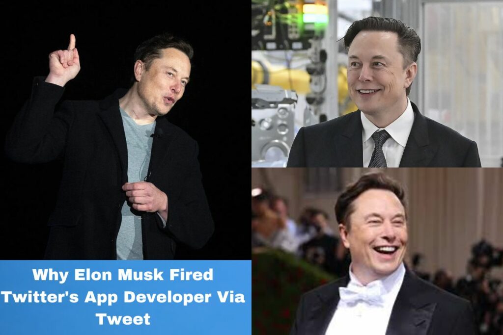 Why Elon Musk Fired Twitter's App Developer Via Tweet