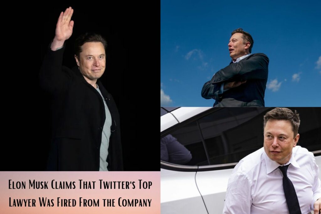 Elon Musk Claims That Twitter's Top Lawyer Was Fired From the Company