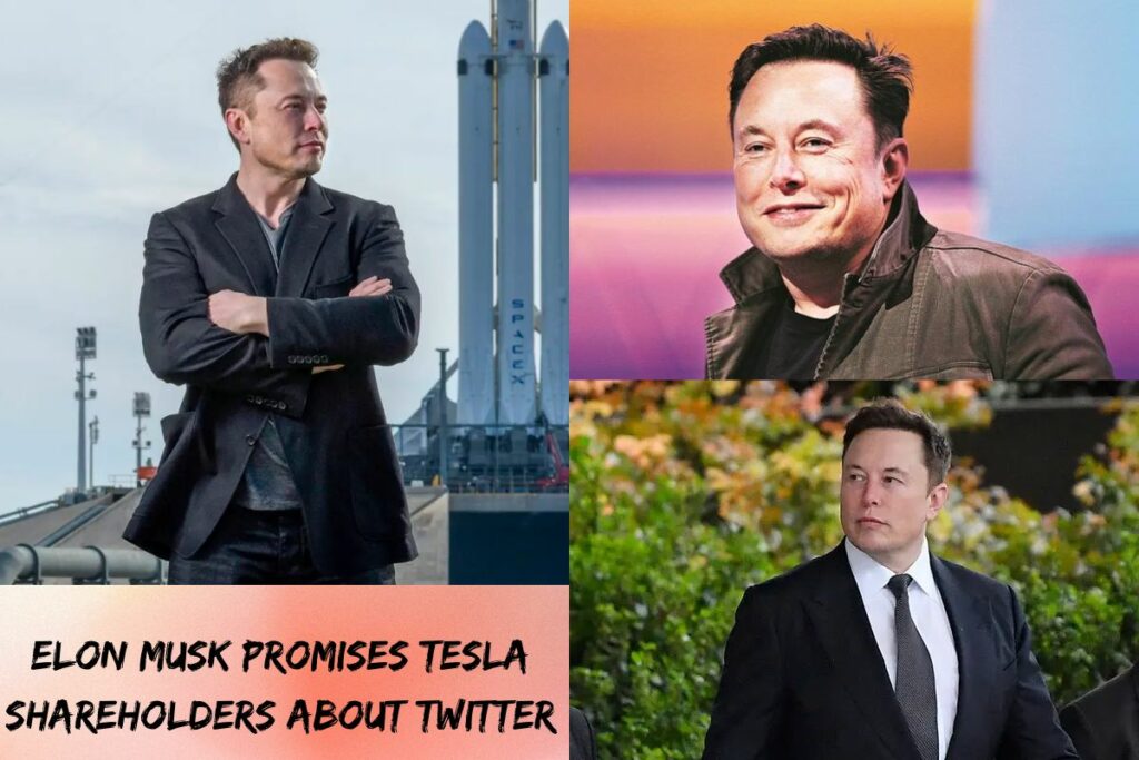 Elon Musk Promises Tesla Shareholders About Twitter