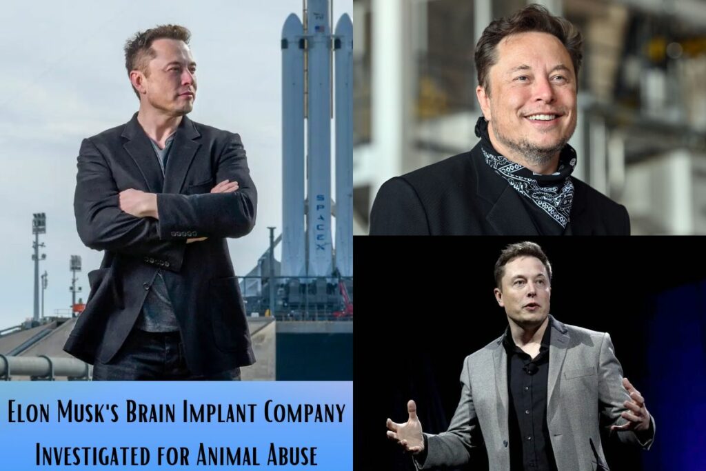 Elon Musk's Brain Implant Company Investigated for Animal Abuse