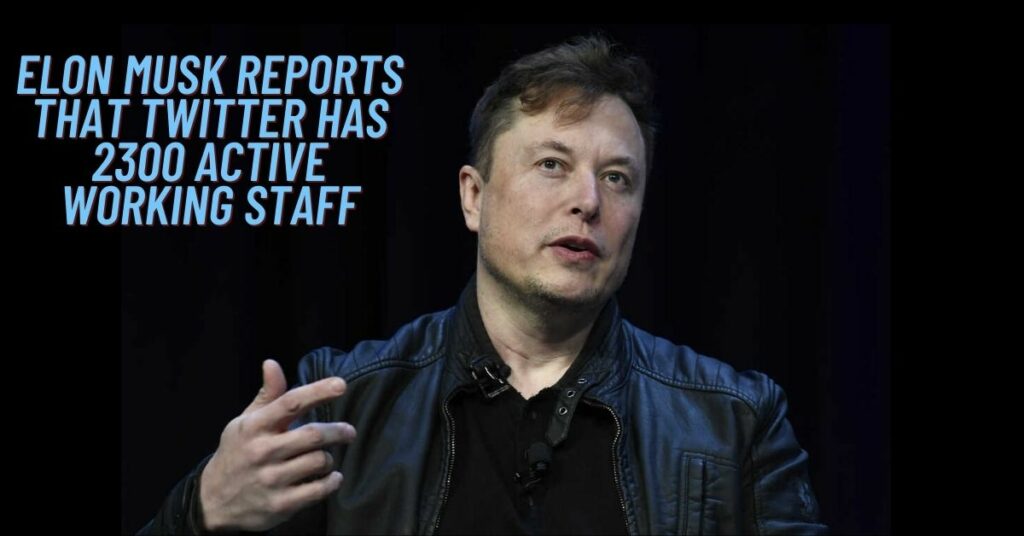 Elon Musk Reports That Twitter Has 2300 Active Working Staff