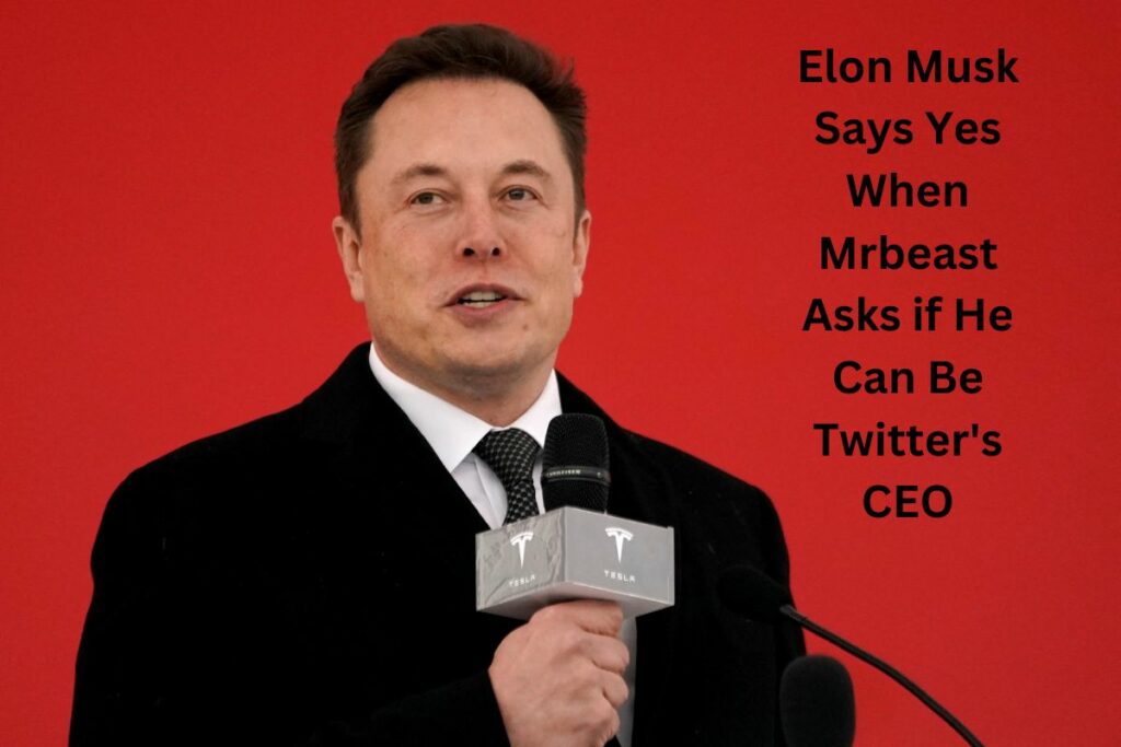 Elon Musk Says Yes When Mrbeast Asks if He Can Be Twitter's CEO