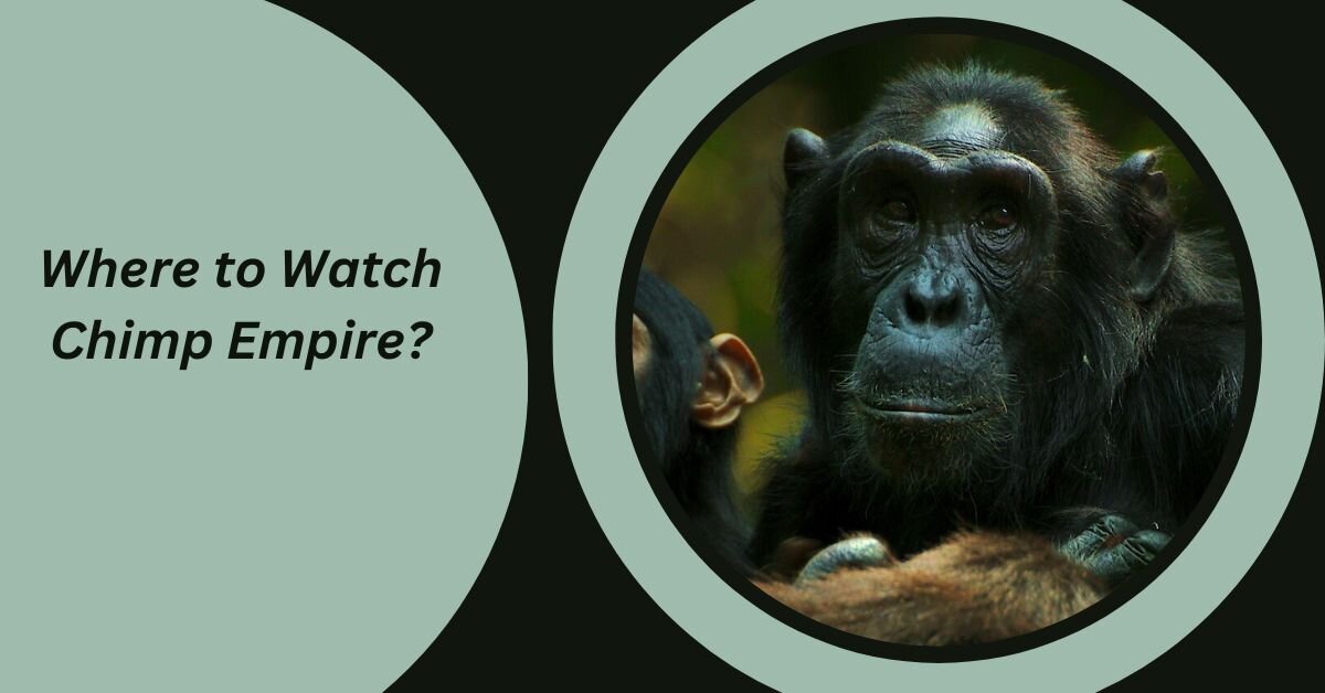 Where to Watch Chimp Empire