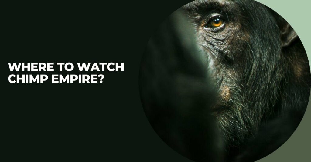 Where to Watch Chimp Empire