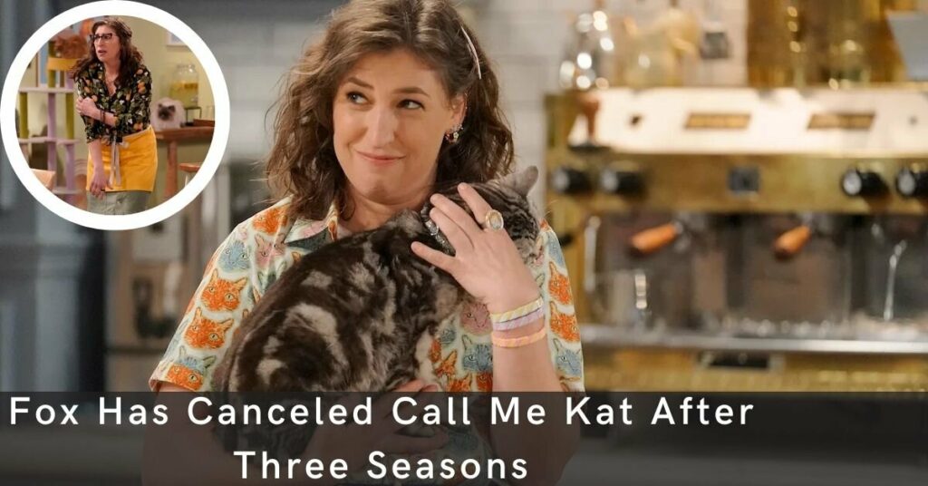 Fox Has Canceled Call Me Kat After Three Seasons