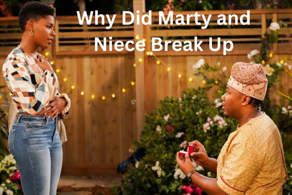 Why Did Marty and Niece Break Up Relationship Timeline!
