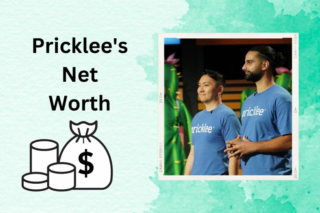Pricklee Net Worth Before & After Shark Tank